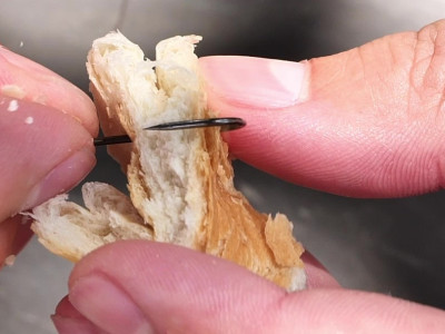 Lov kapra, amura. Lov kapra, amura.