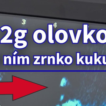 🏆 Neuveriteľná Citlivosť Sonaru: Vidíme Každú 2mm Peletu! 🤯 (Live Sonar Test) #sonary #live 🏆 Neuveriteľná Citlivosť Sonaru: Vidíme Každú 2mm Peletu! 🤯 (Live Sonar Test) #sonary #live