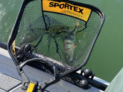 Sportex podberák do každej rybárskej výbavy Sportex podberák do každej rybárskej výbavy