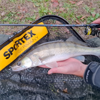 Prívlačová novinka 2025 SPORTEX Black Arrow G4 Prívlačová novinka 2025 SPORTEX Black Arrow G4